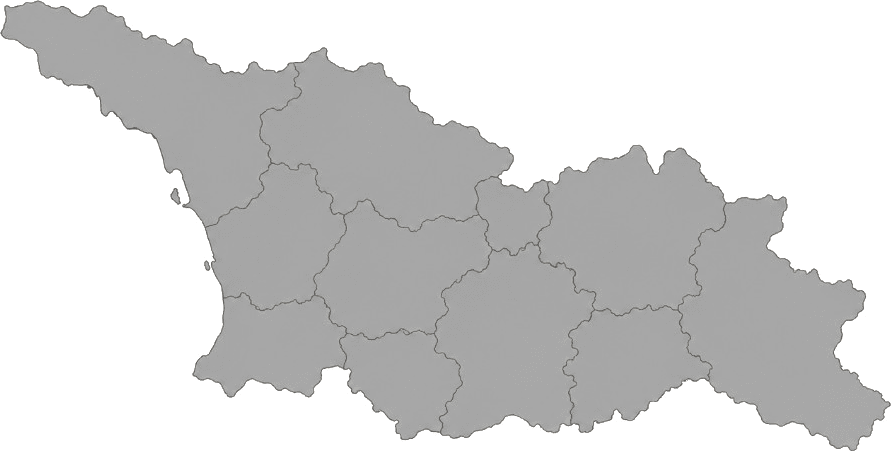 Illustrated map of Georgia