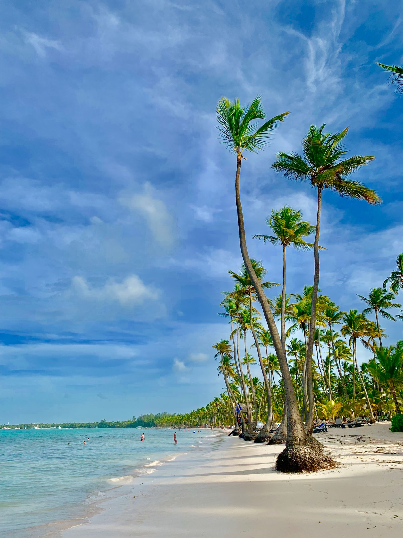 Palm-lined beach in Punta Cana, La Altagracia Province, Dominican Republic