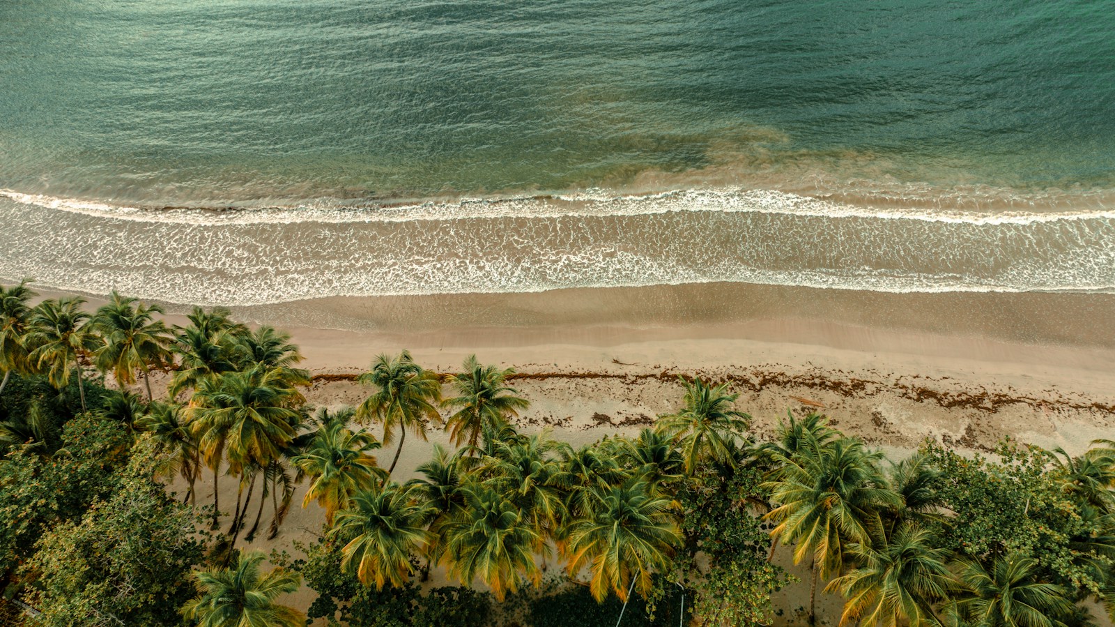 La Sagesse Beach in St. David Parish, Grenada