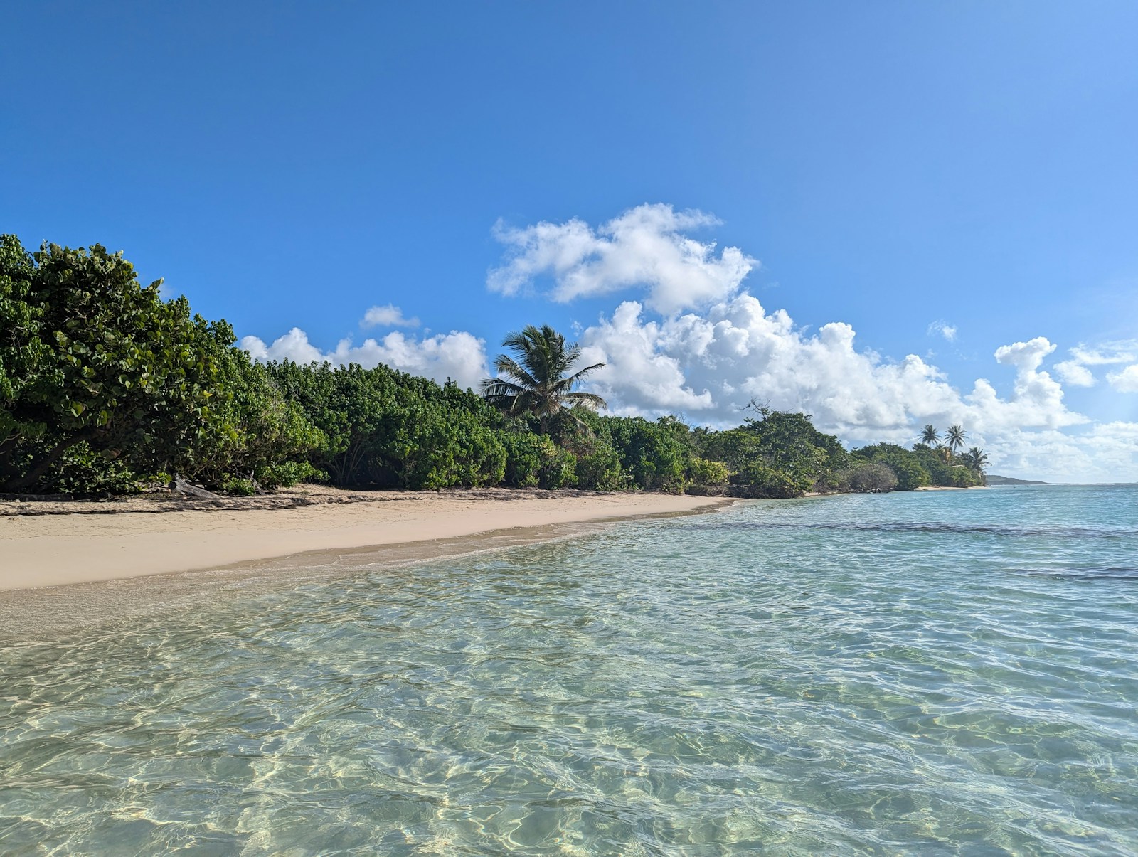 Plage de Bois Jolan in Sainte-Anne on Grande-Terre, Guadeloupe