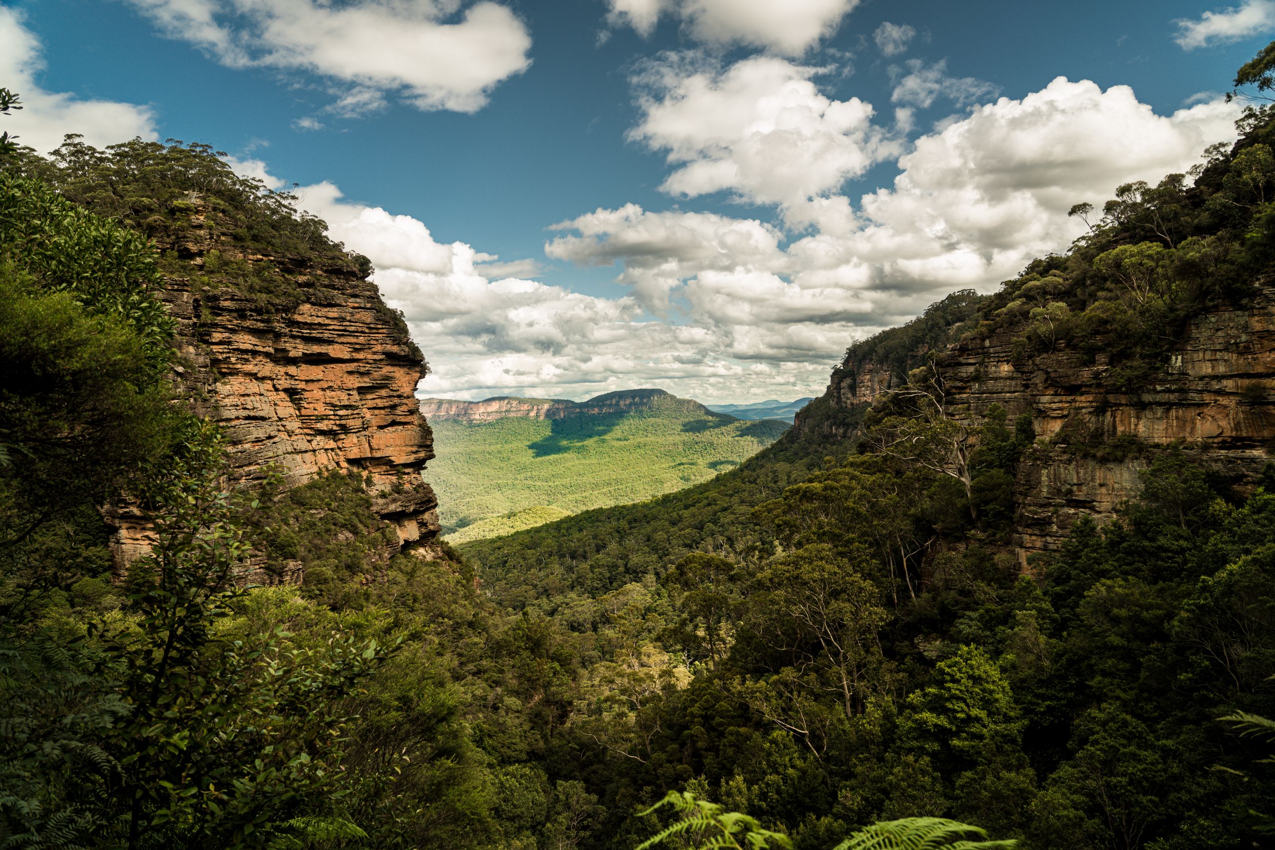 Lush Blue Mountains landscape with dramatic cliffs in New South Wales.