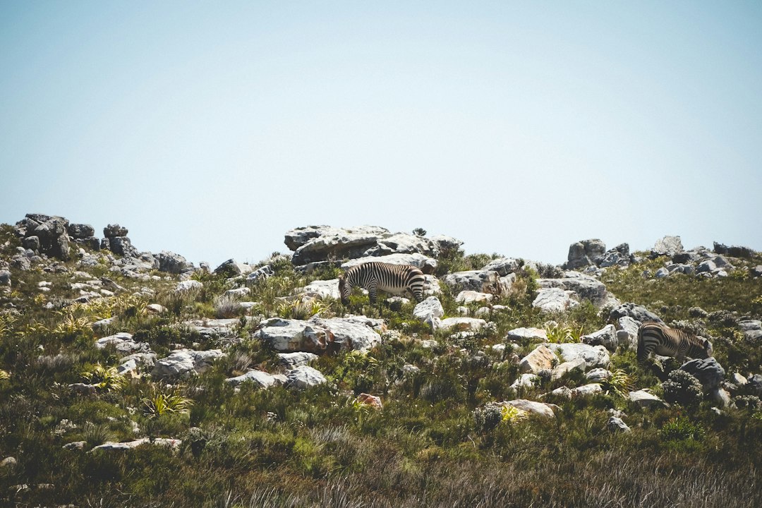Western Cape, south africa regional destination.
