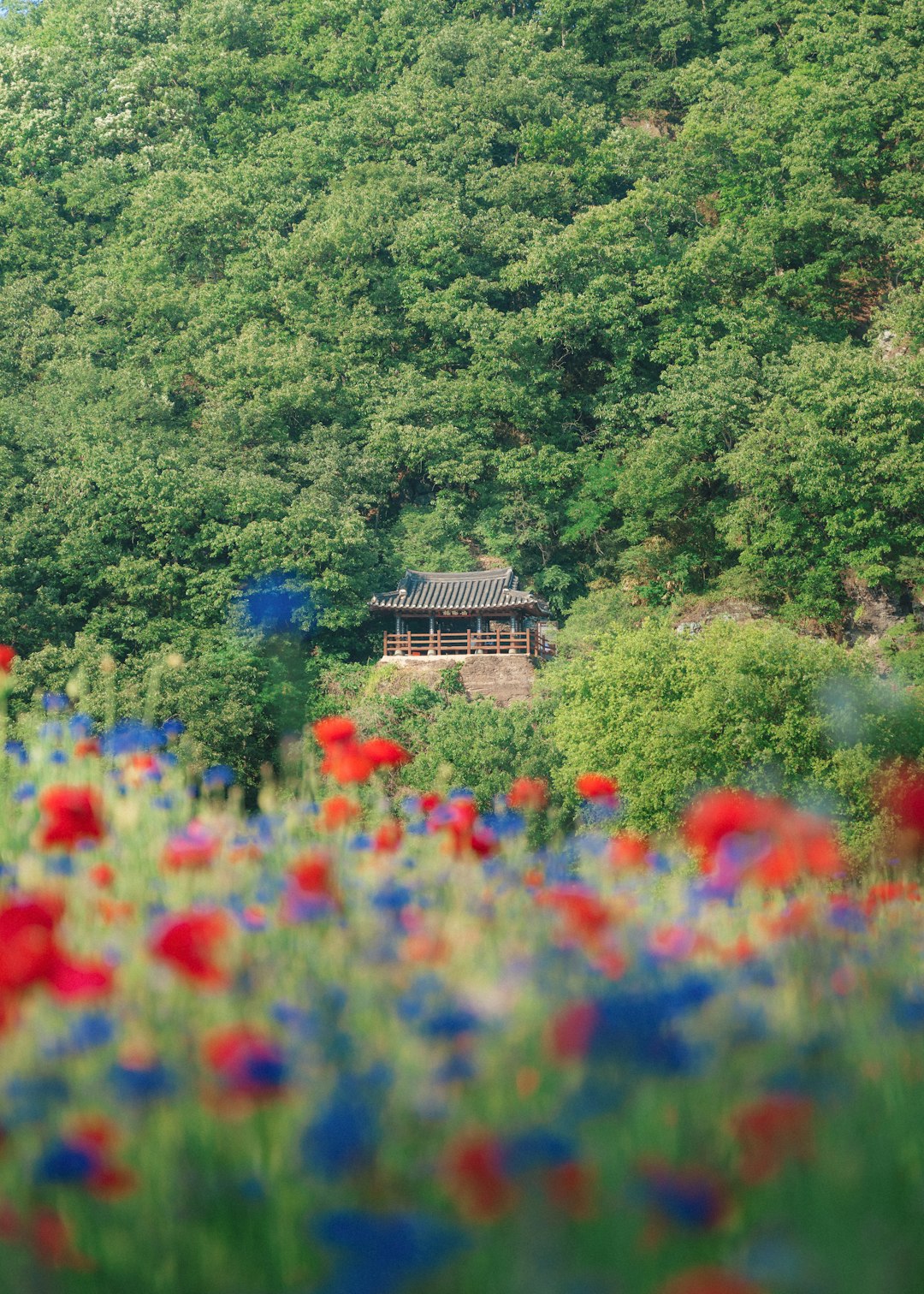 Gyeongsangnam-do, south korea regional destination.