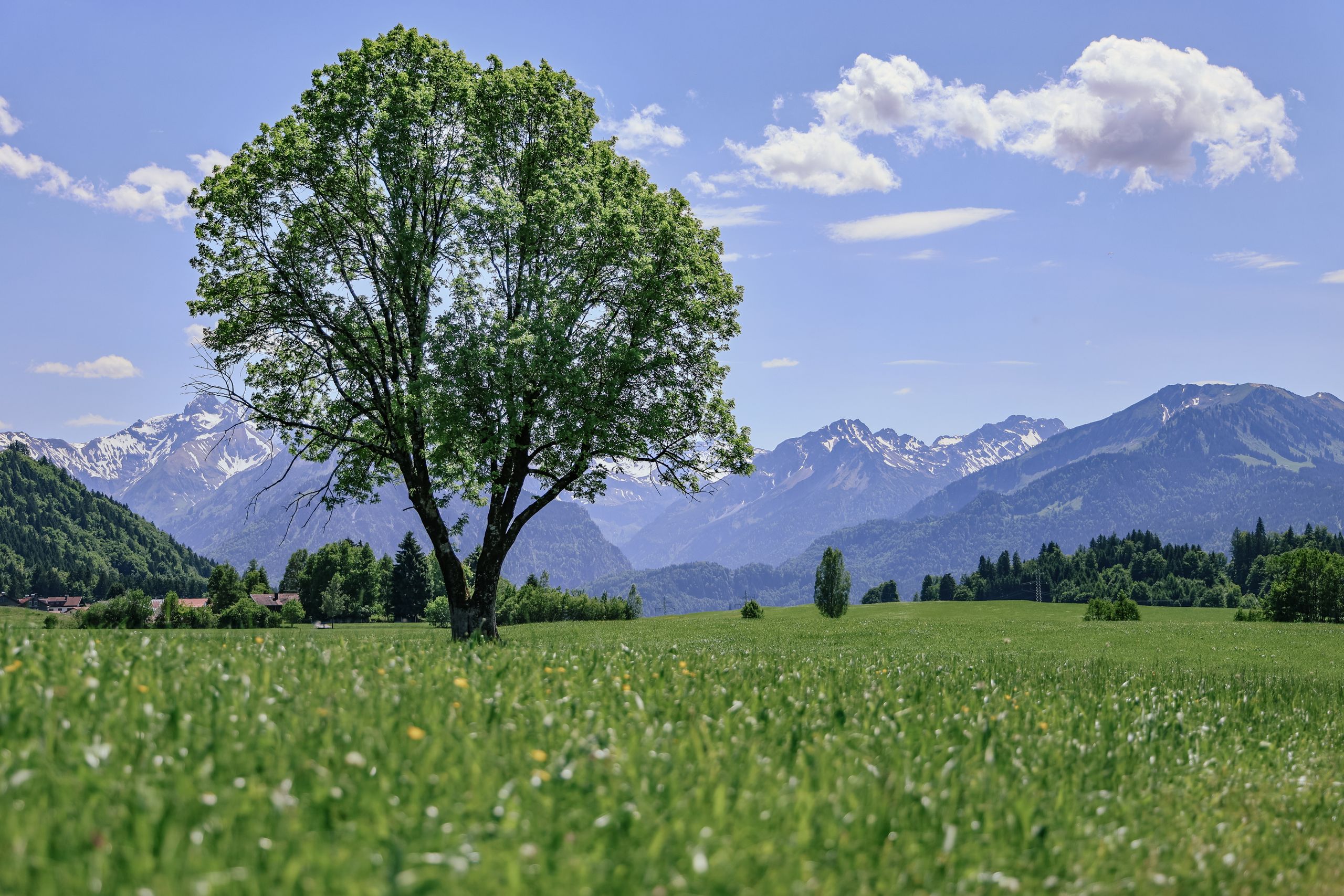 Bavaria destination view