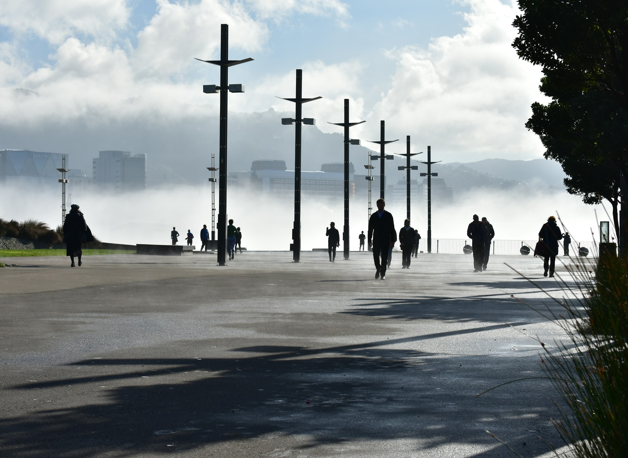 Fog lifting over Wellington waterfront in New Zealand
