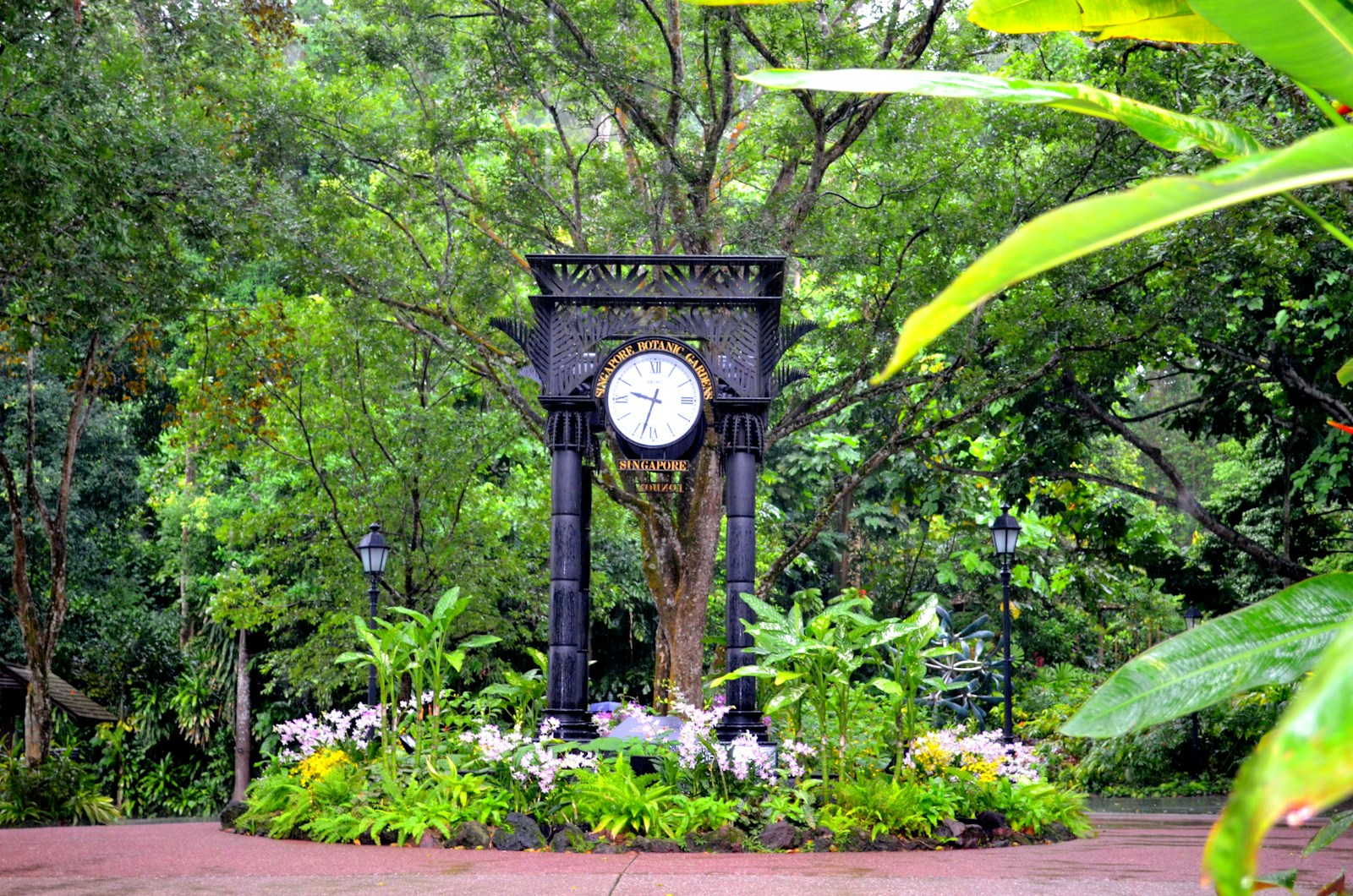 Singapore Botanic Gardens.