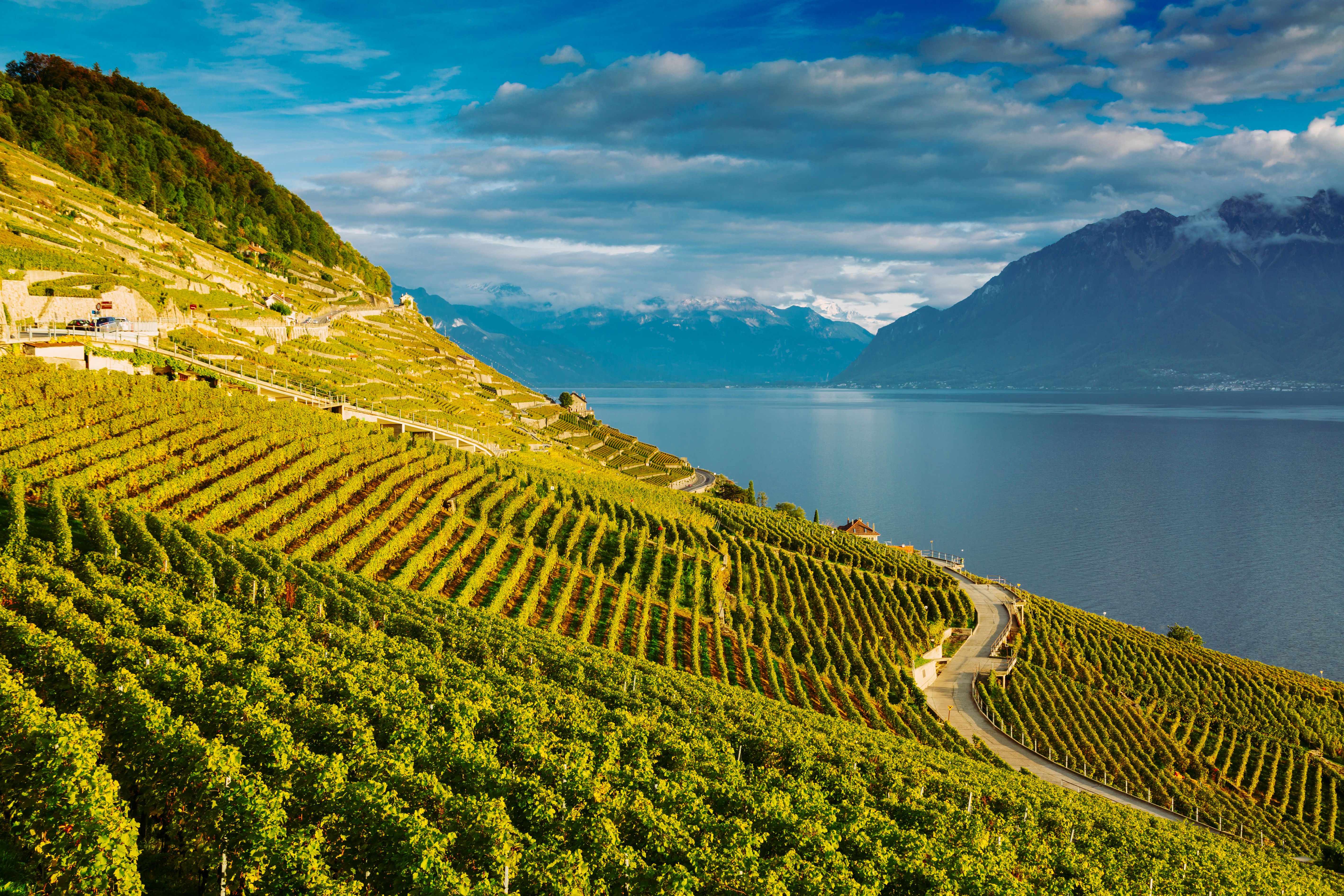 Lavaux / Lake Geneva, Switzerland