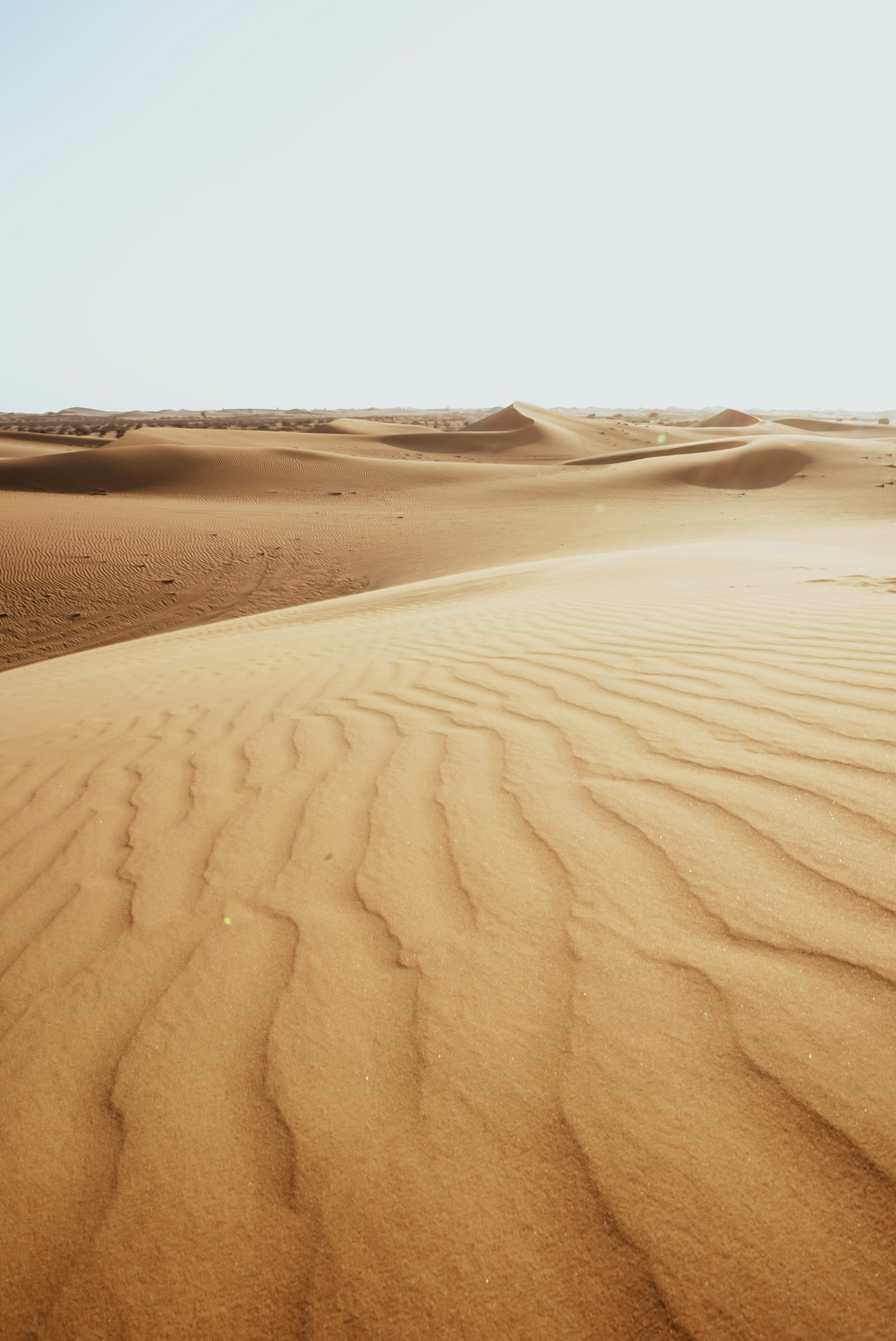 Abu Dhabi desert dunes in the United Arab Emirates.