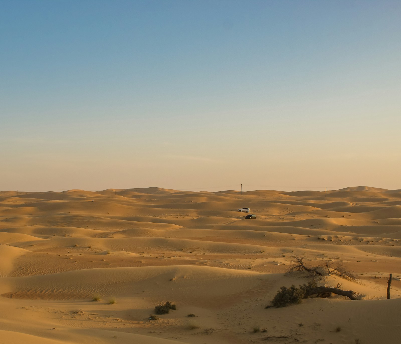 Golden desert landscape near Dubai, United Arab Emirates.