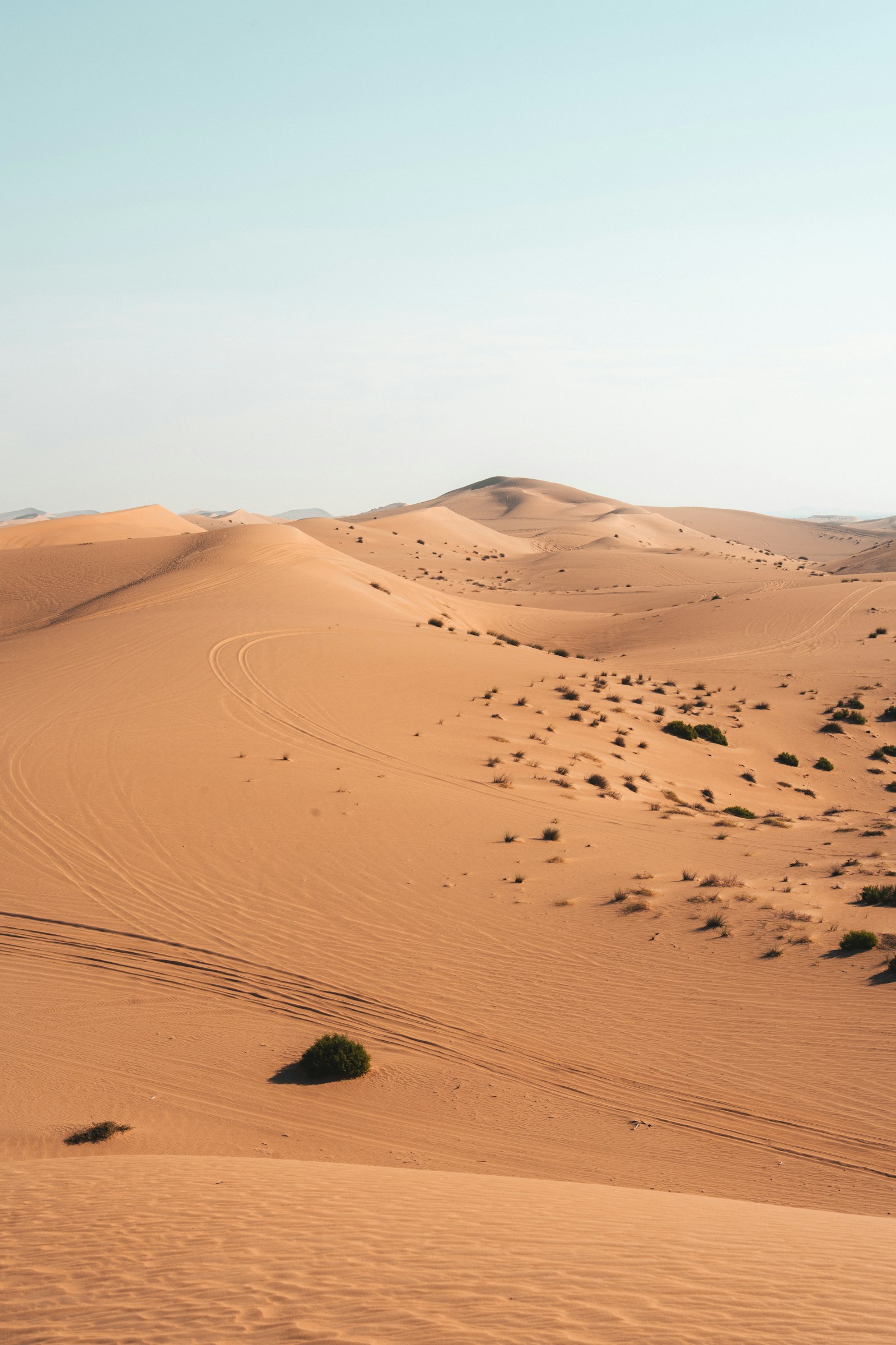Ras Al Khaimah desert landscape in the United Arab Emirates.