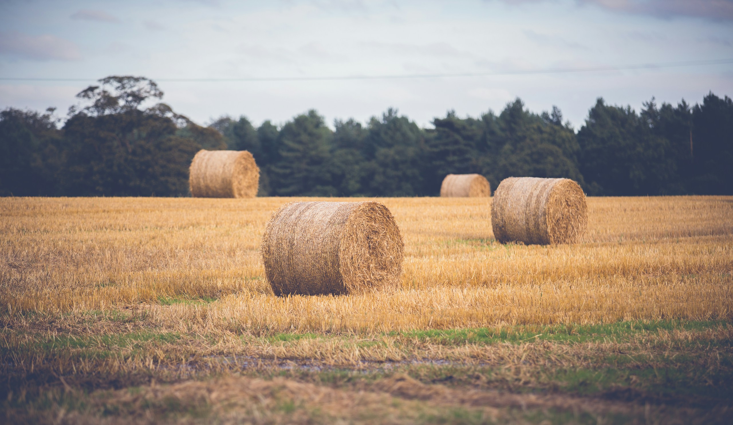 Hay field, Cheshire. Destination view for Cheshire, England.
