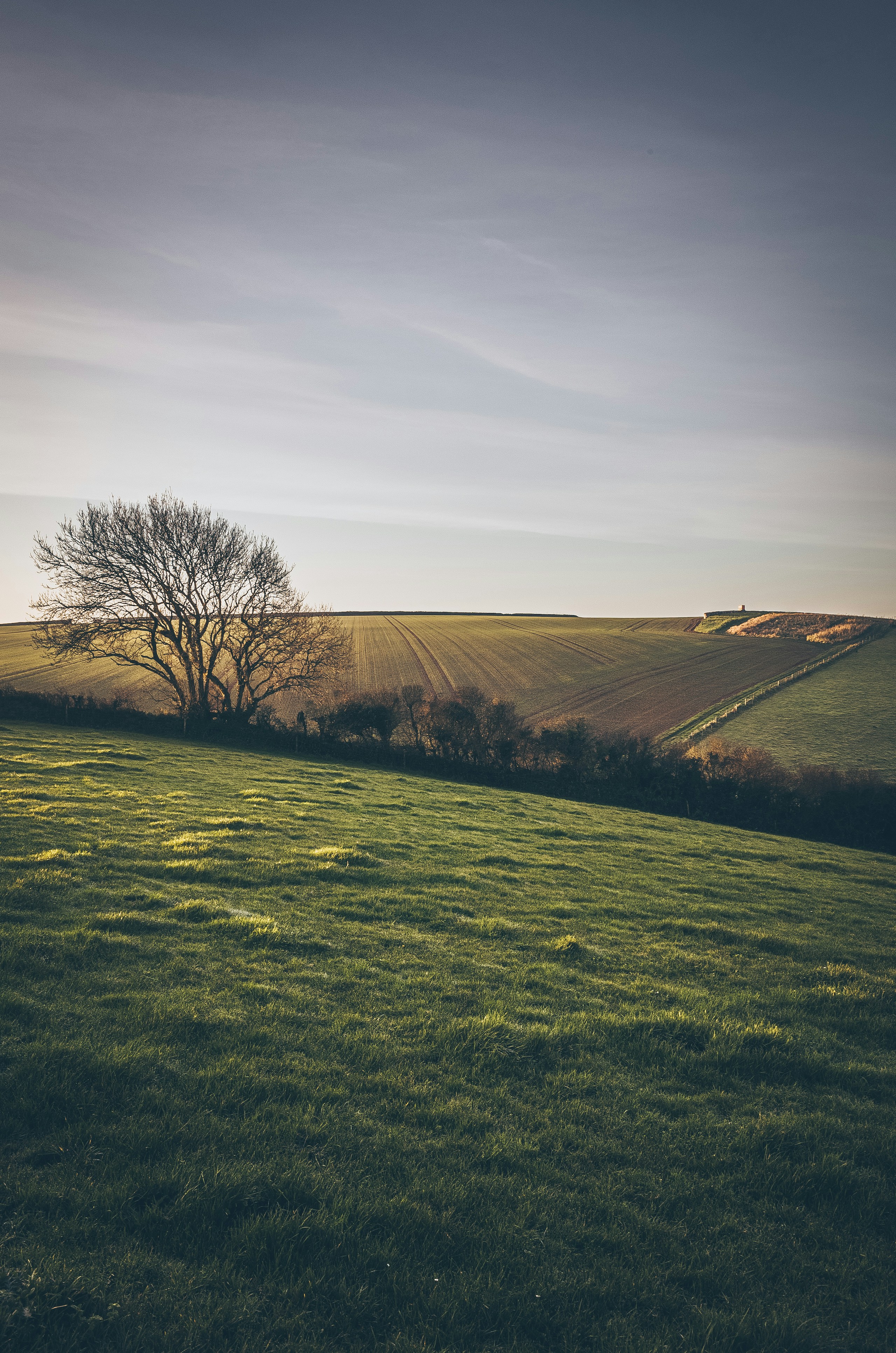 Rolling Devon countryside. Destination view for Devon, England.
