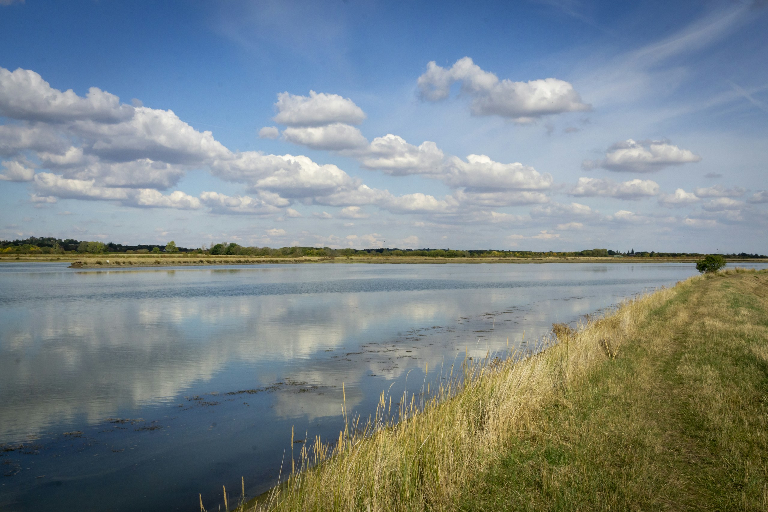 RSPB Old Hall Marshes, Tolleshunt D'Arcy, Maldon, Essex. Destination view for Essex, England.