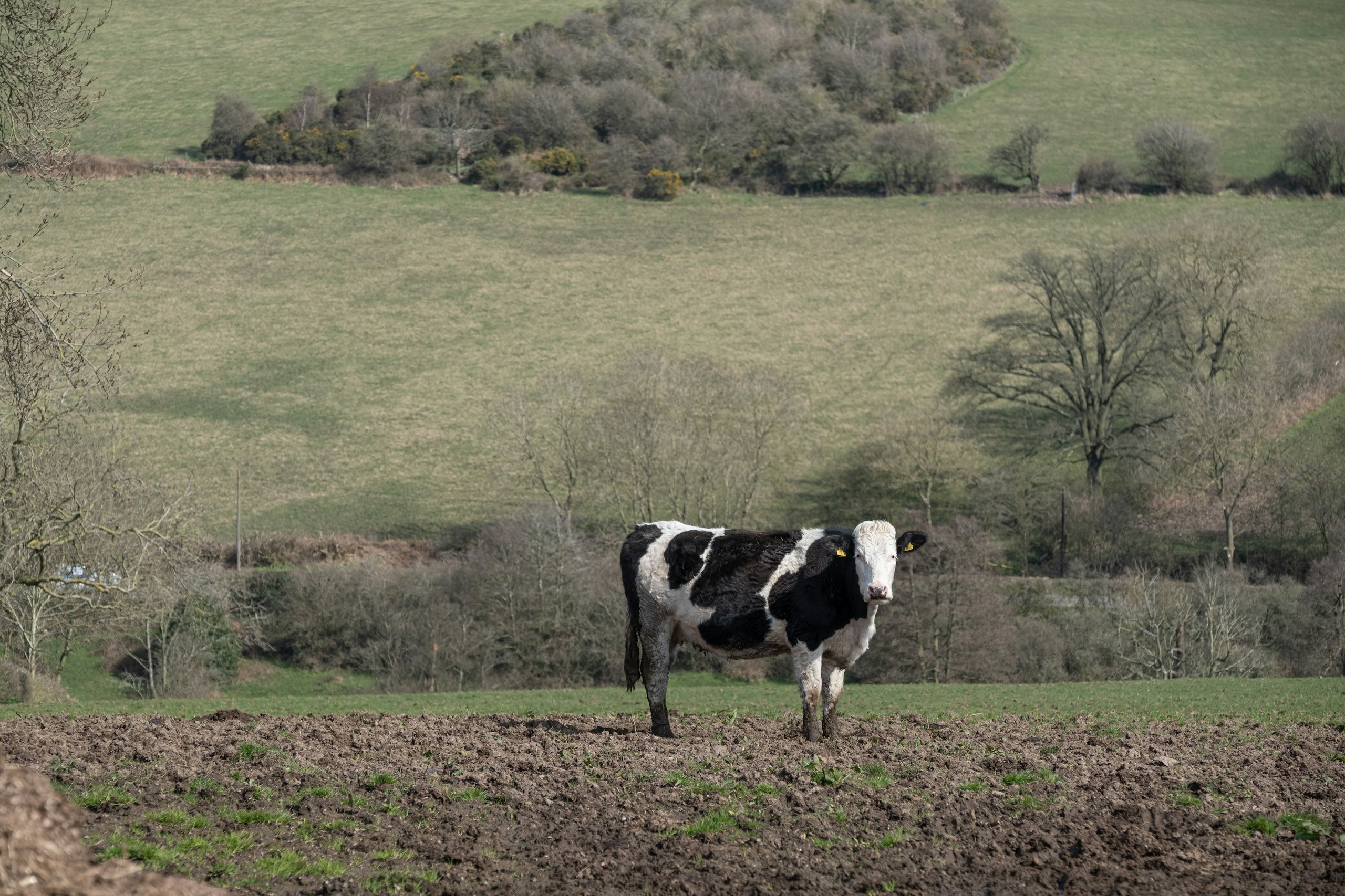 Leicestershire countryside. Destination view for Leicestershire, England.