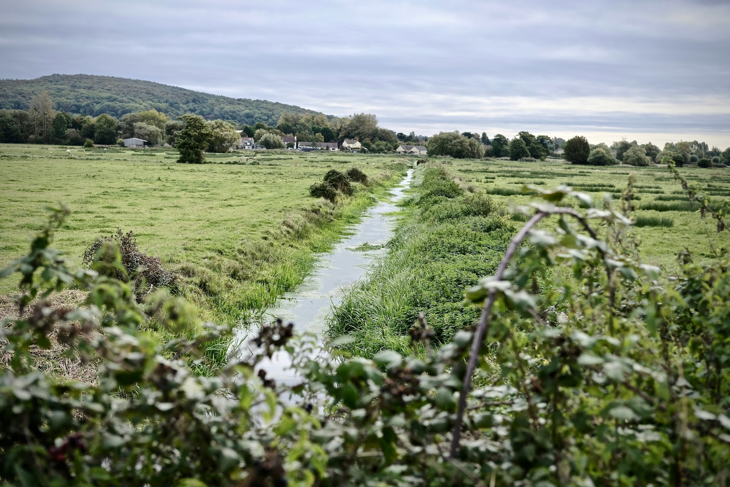 Somerset countryside. Destination view for Somerset, England.