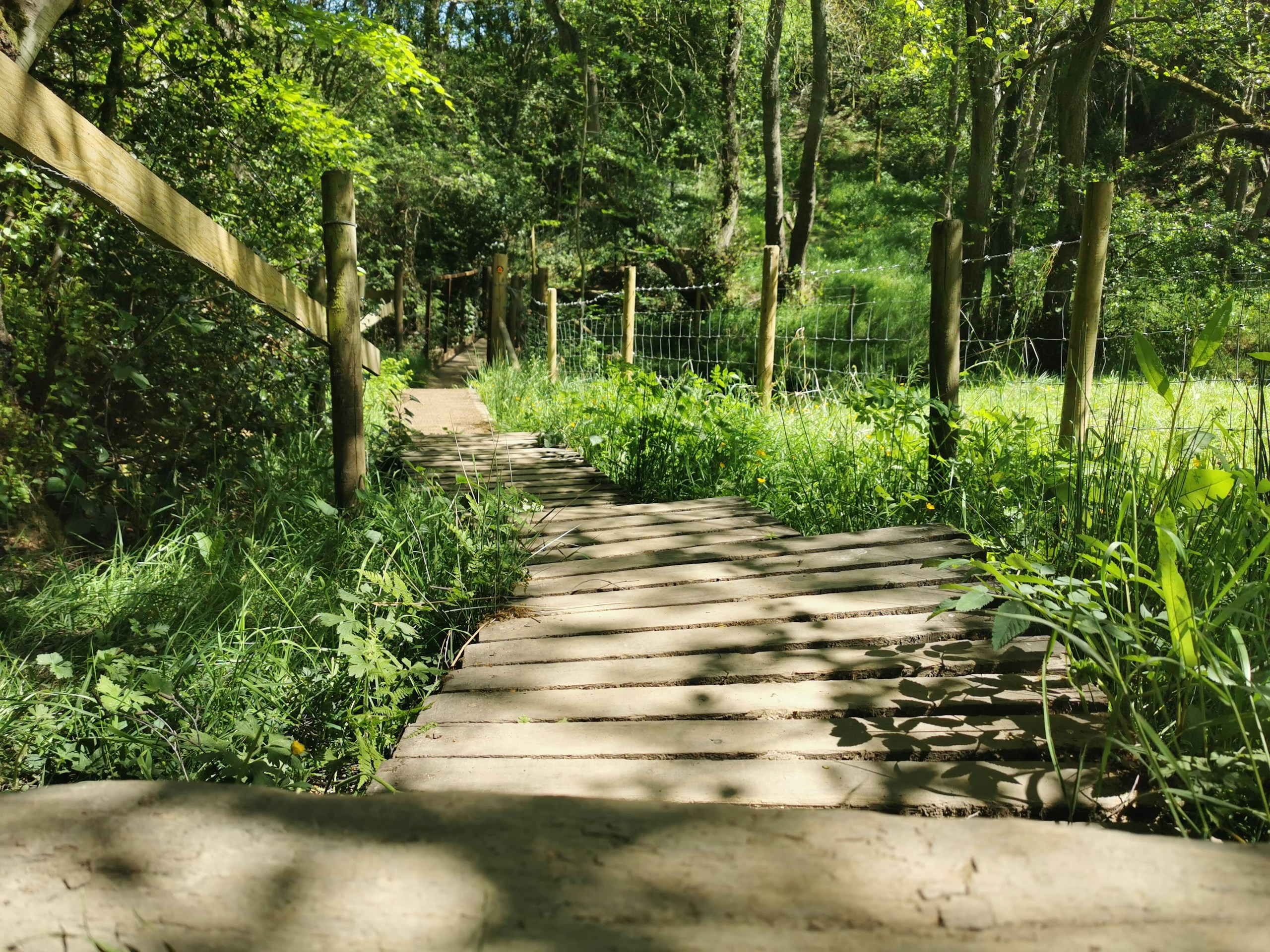 Deep Hayes Country Park, Leek, Staffordshire. Destination view for Staffordshire, England.