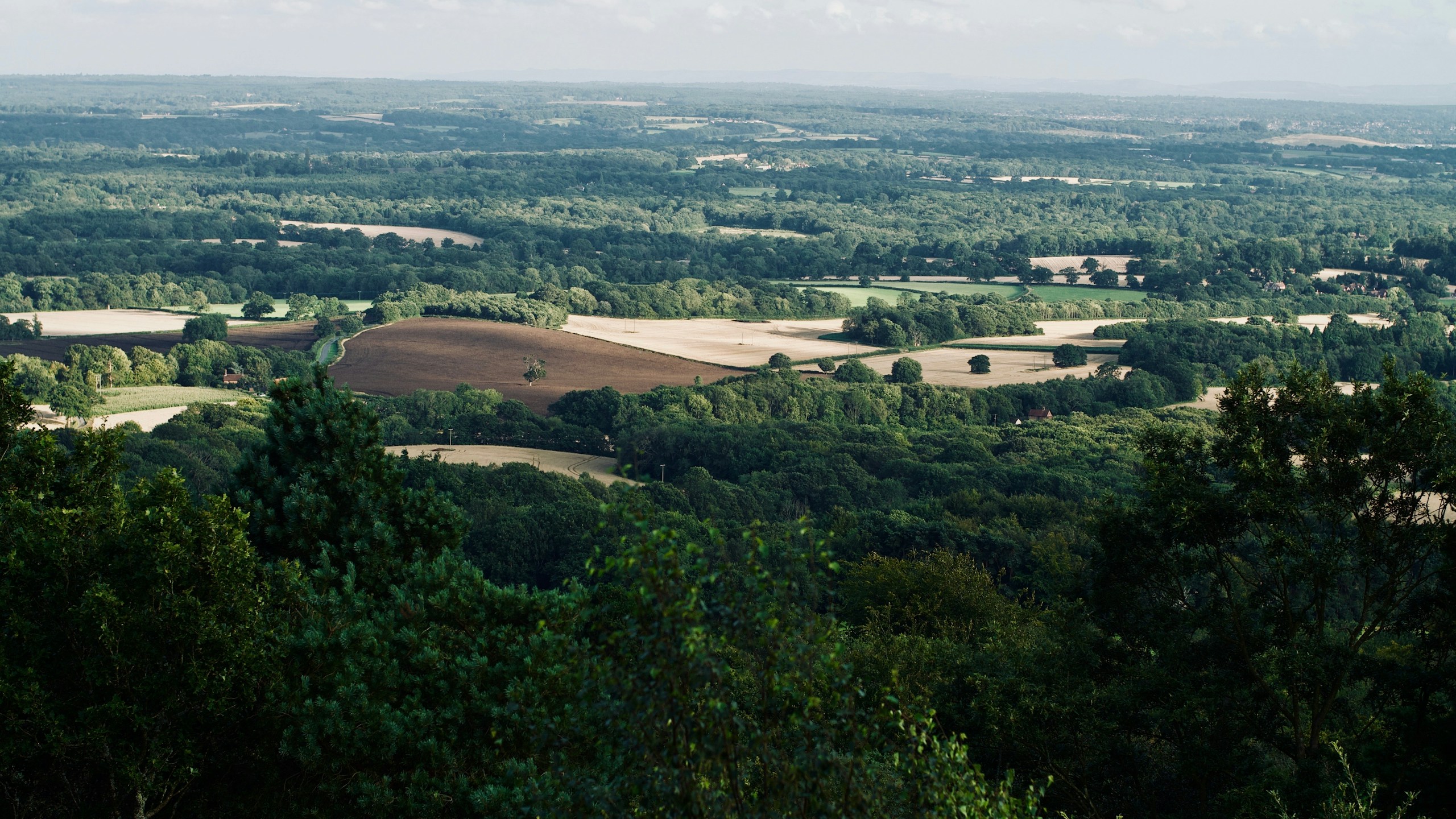 Surrey countryside. Destination view for Surrey, England.