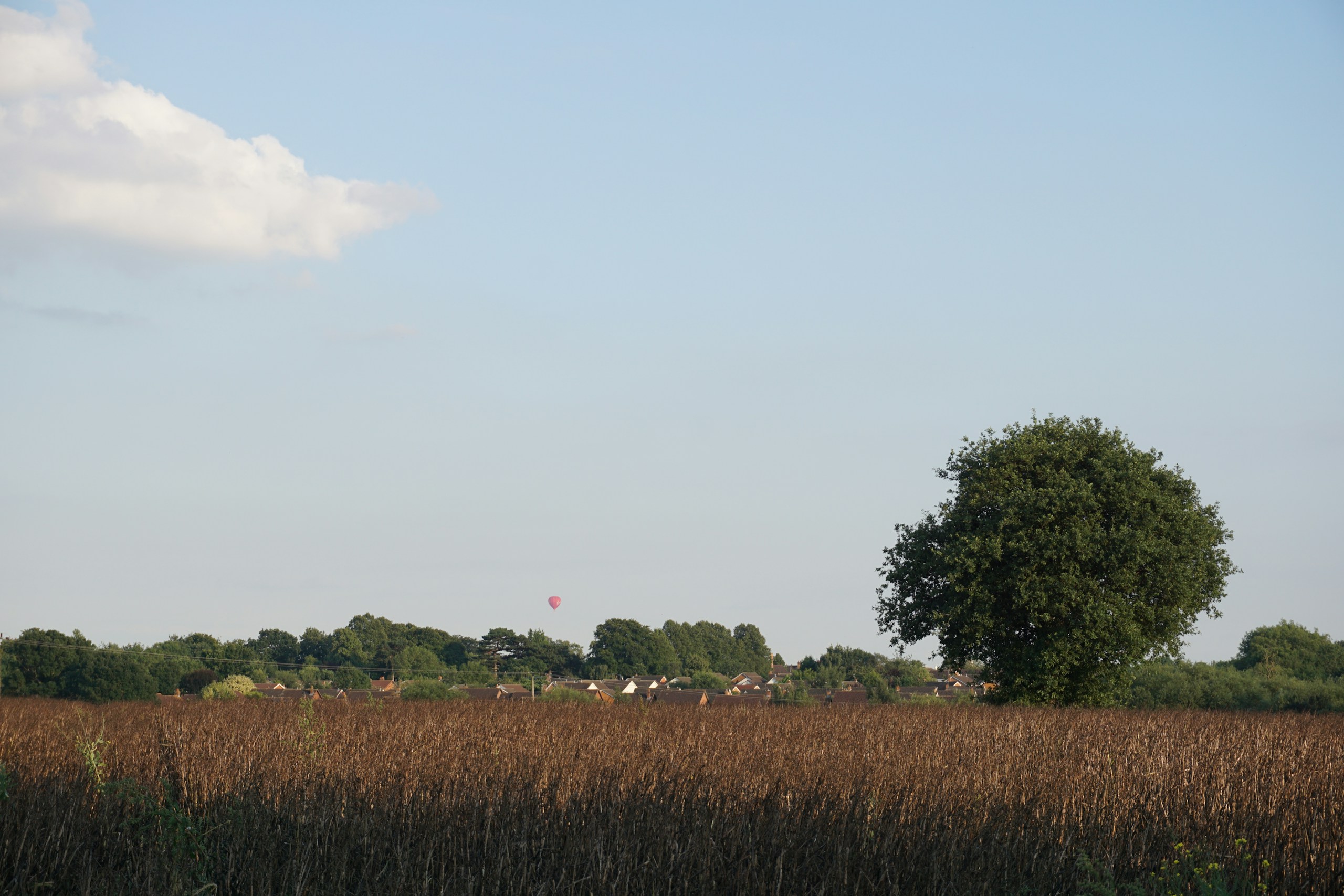 Warwickshire field. Destination view for Warwickshire, England.