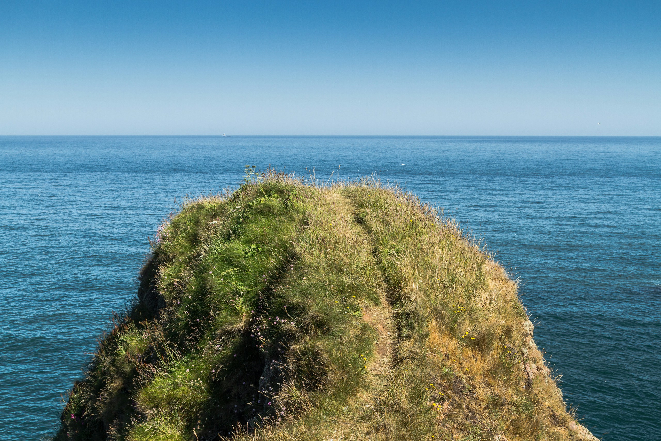 Grassy cliff near Aberdeen. Destination view for Aberdeen City, Scotland.