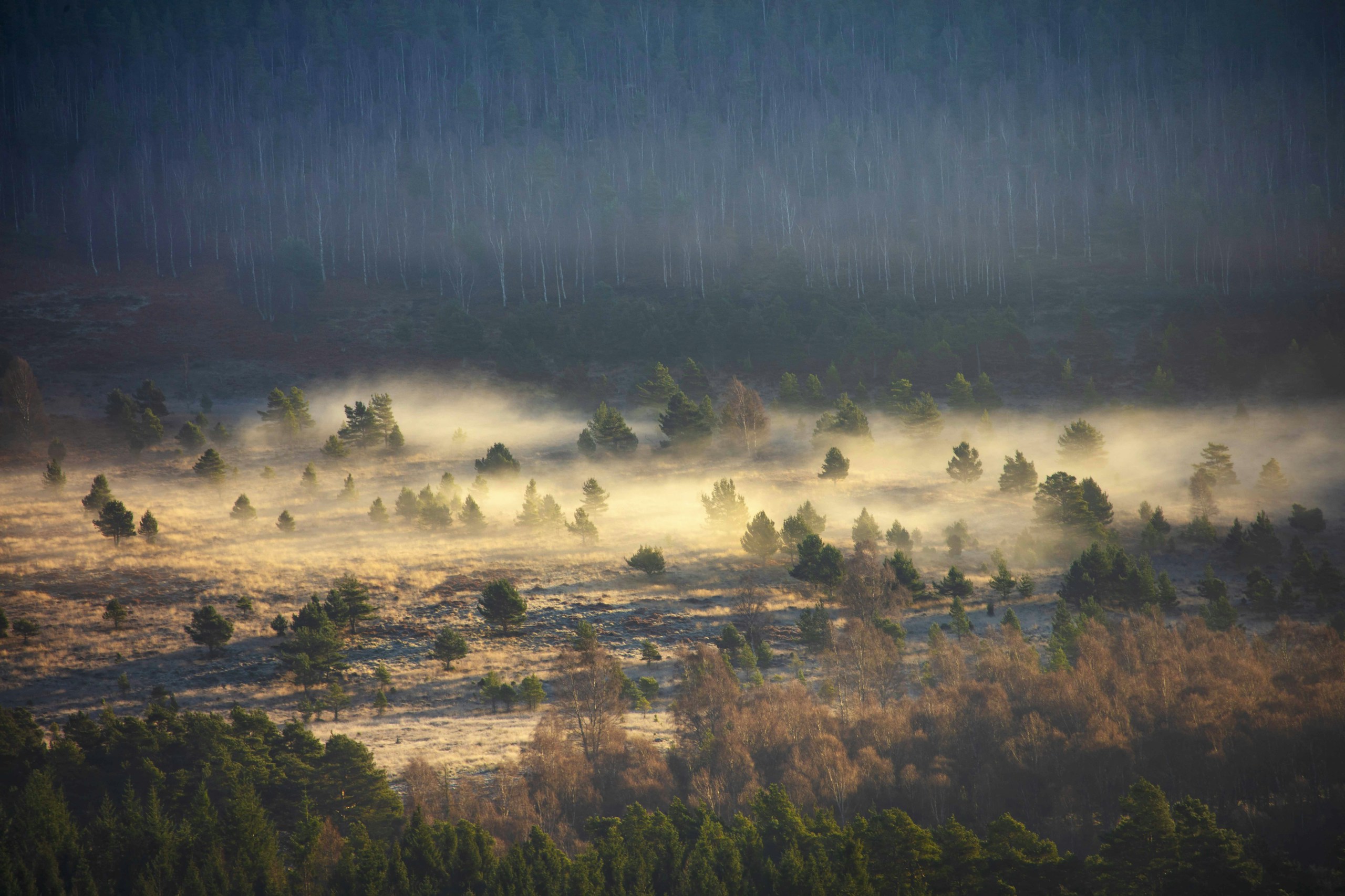 Misty Glentanar, Aberdeenshire. Destination view for Aberdeenshire, Scotland.