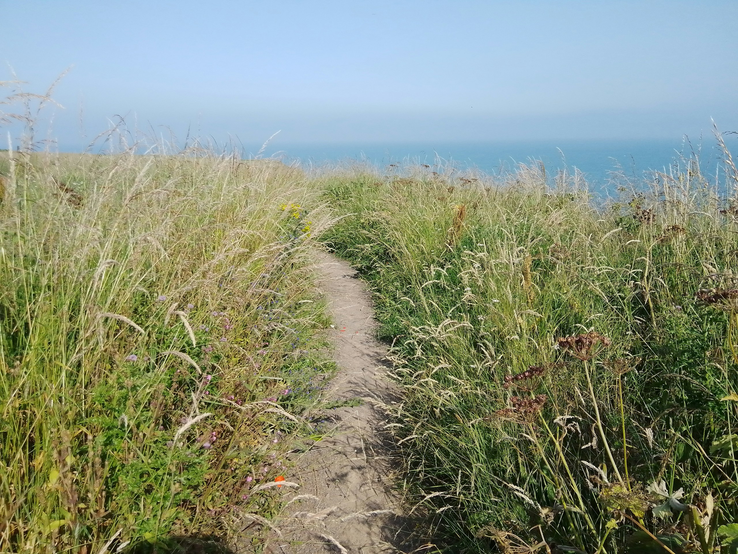 Arbroath cliff-top path, Angus. Destination view for Angus, Scotland.