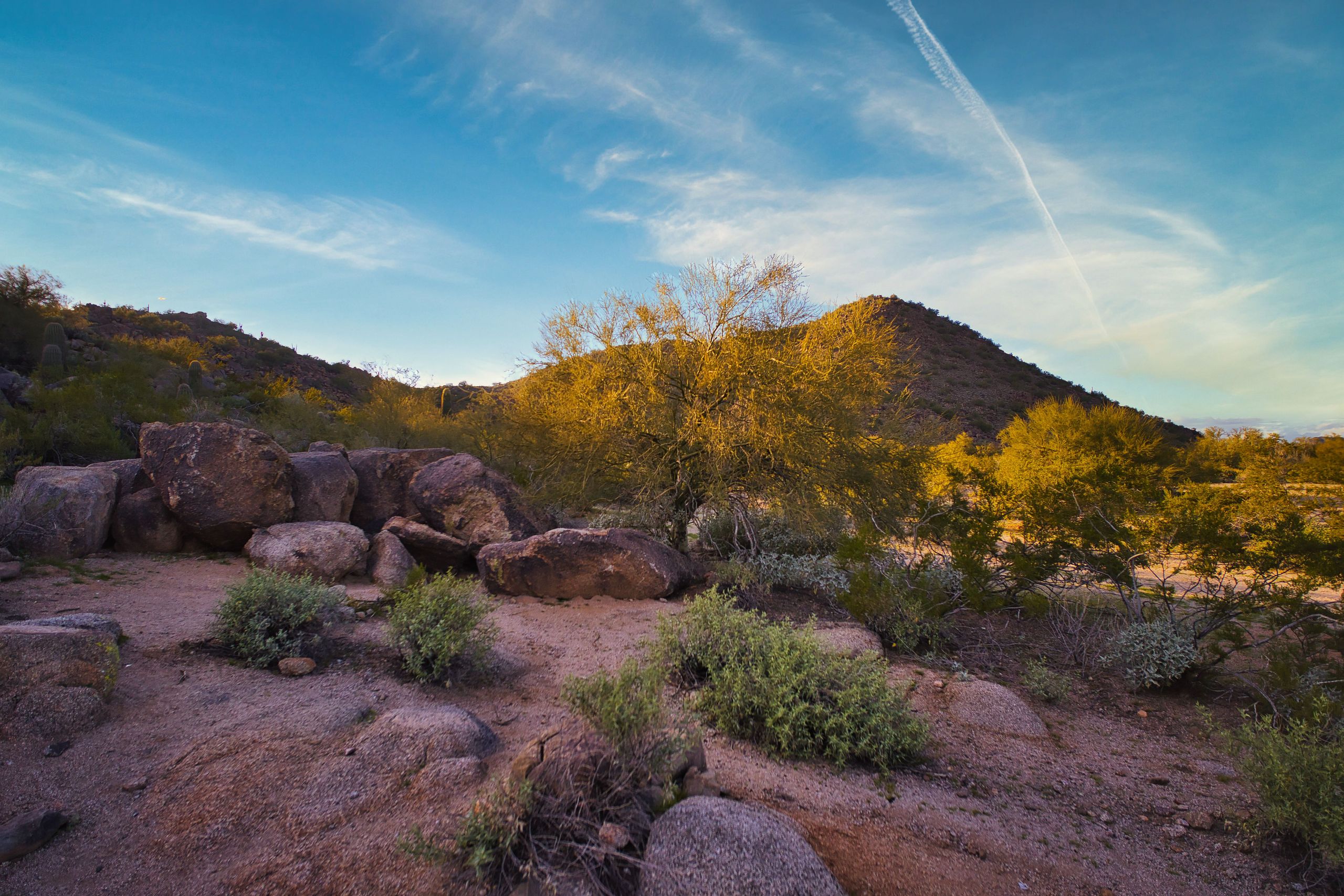 Desert landscape near Phoenix, United States