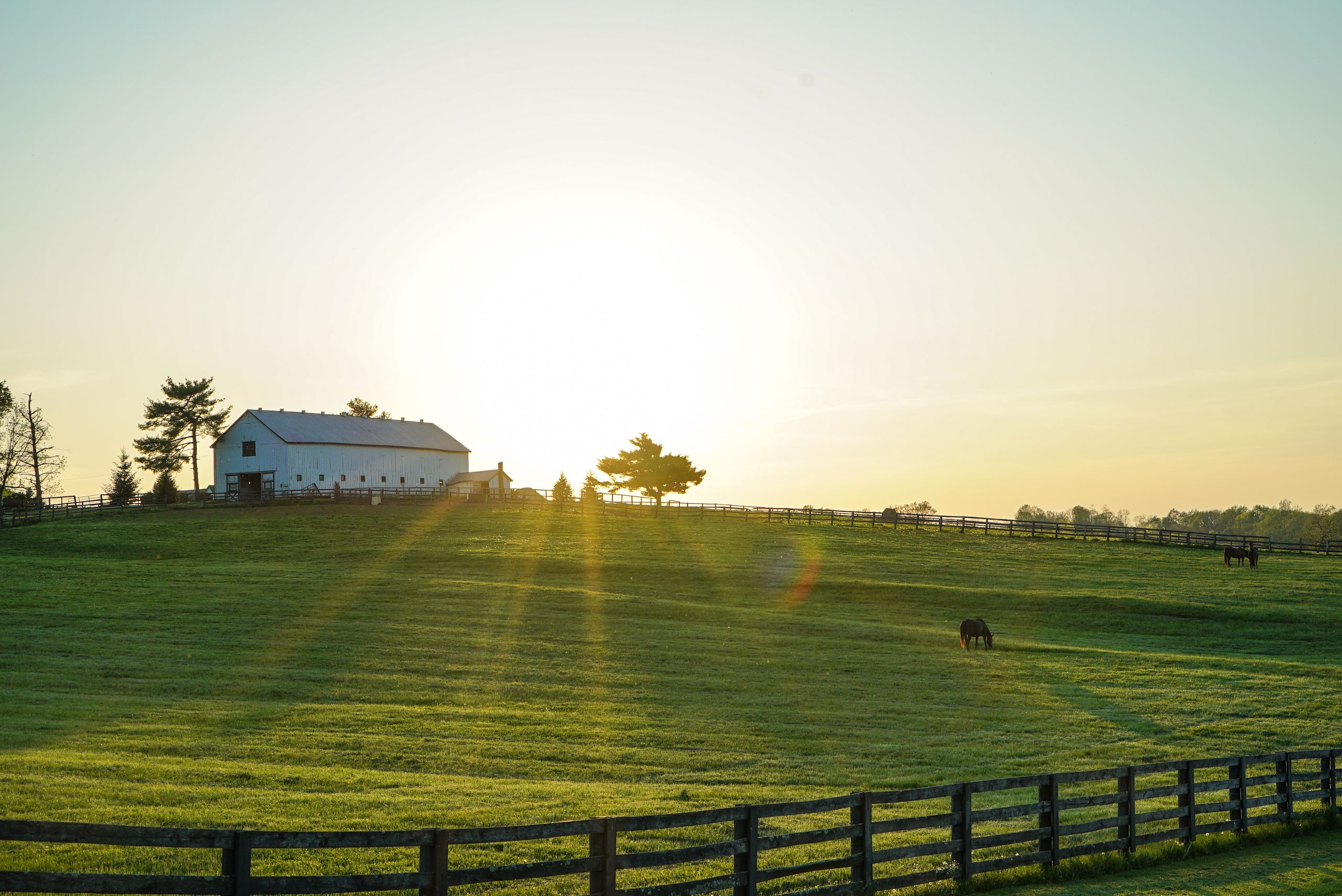 White barn estate overlooking green pastures at sunrise in Kentucky, United States