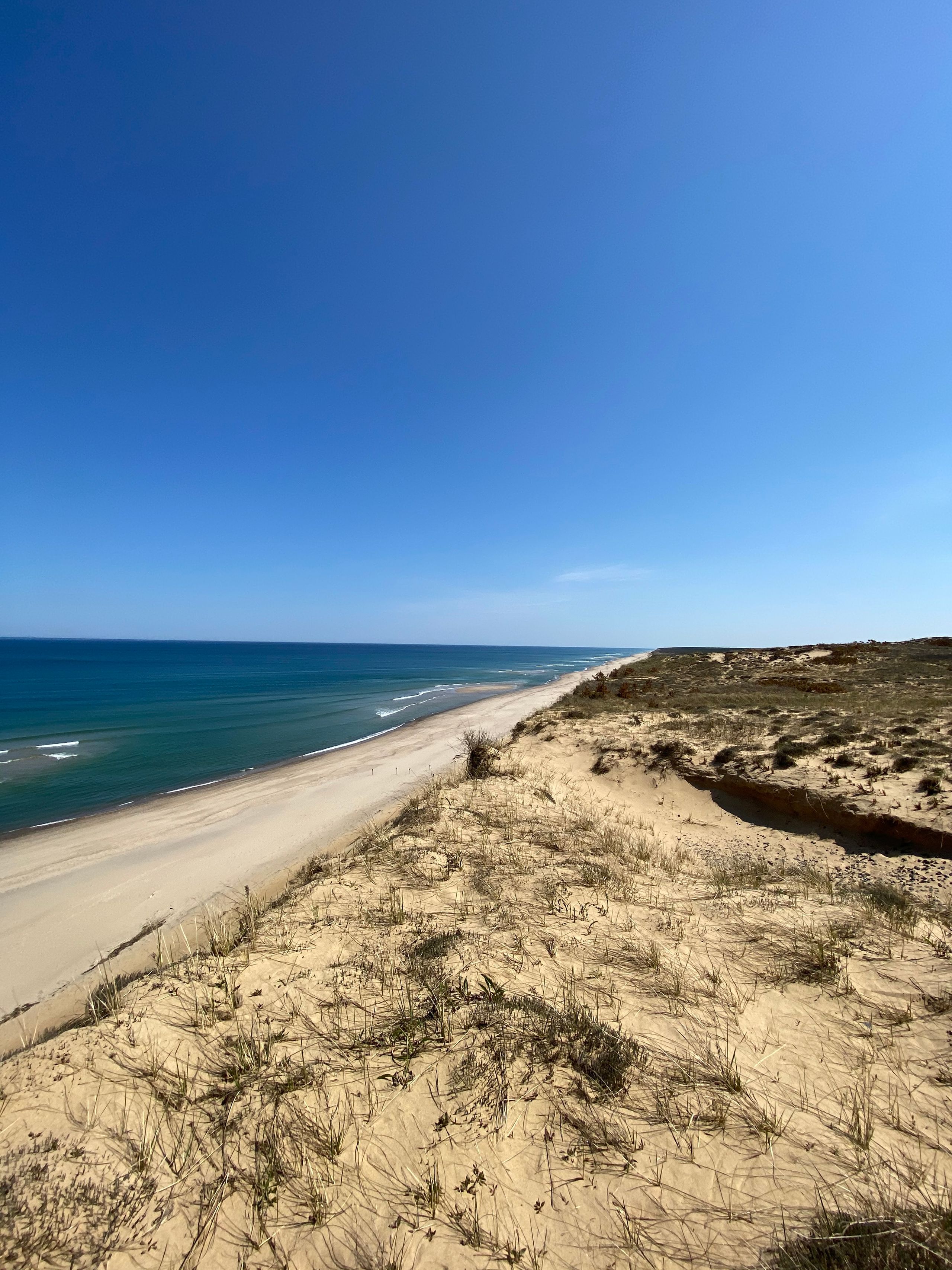 Cape Cod beach on a clear summer day, United States