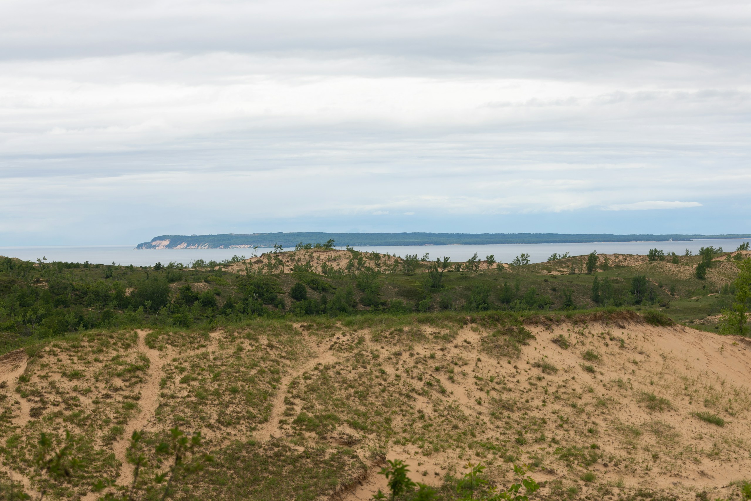 Sandy hills forest and distant lake, United States