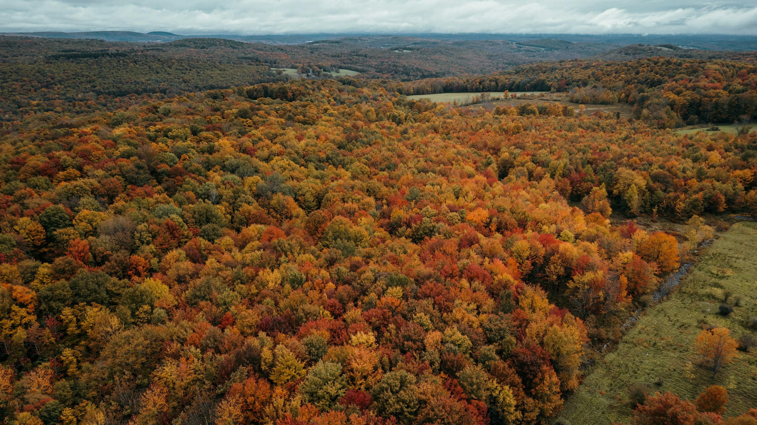Trees and hills landscape, United States