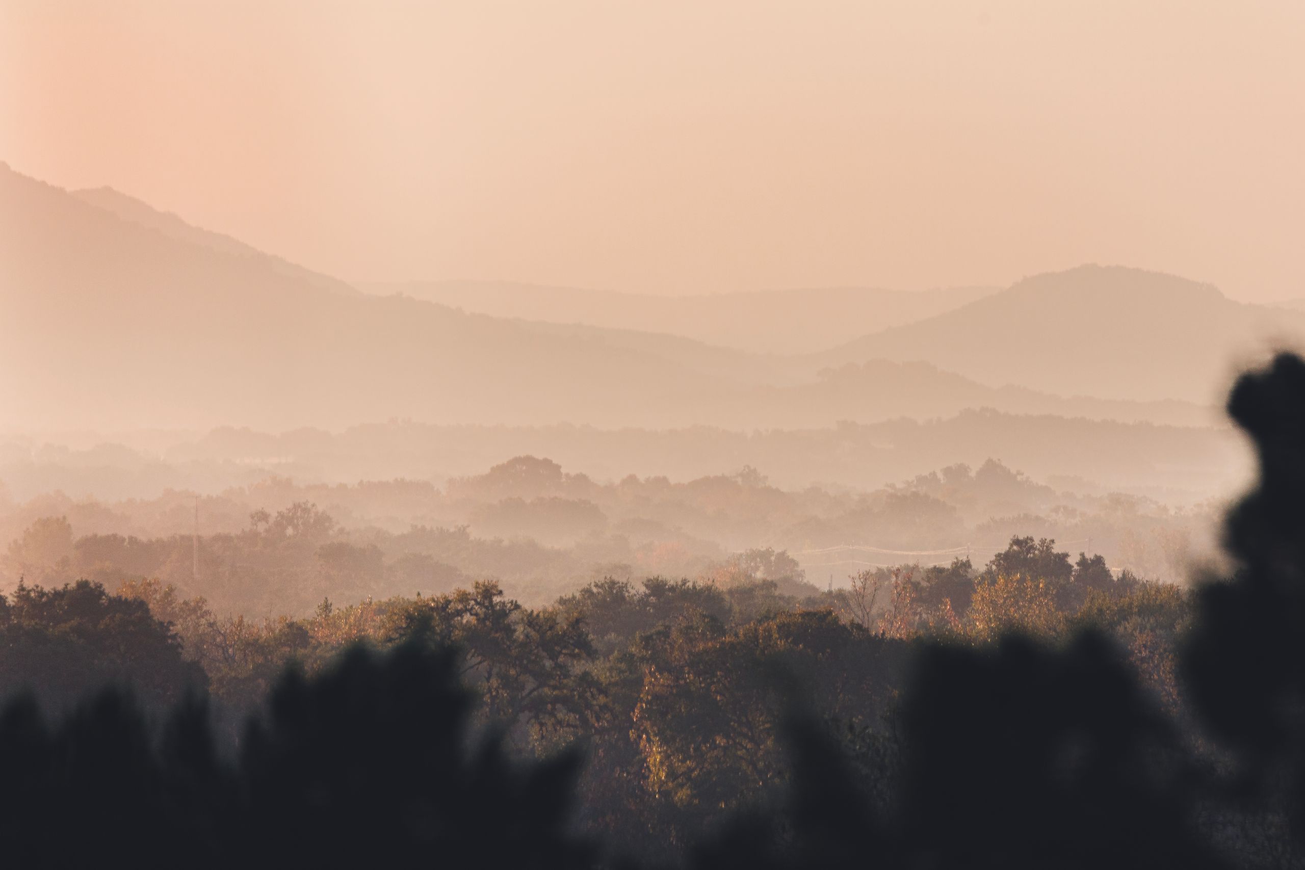 Green trees and mountains, United States