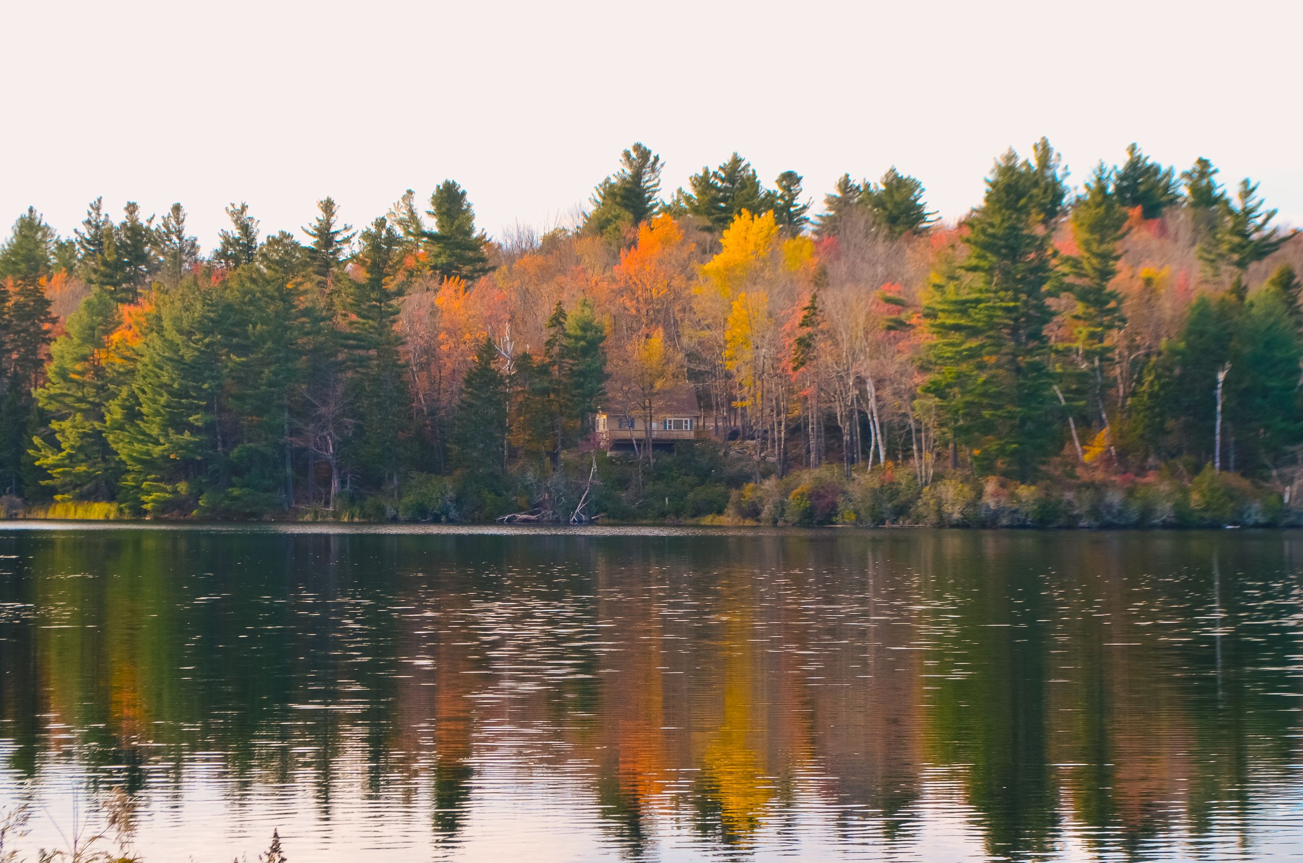 Vermont lake with fall foliage, United States