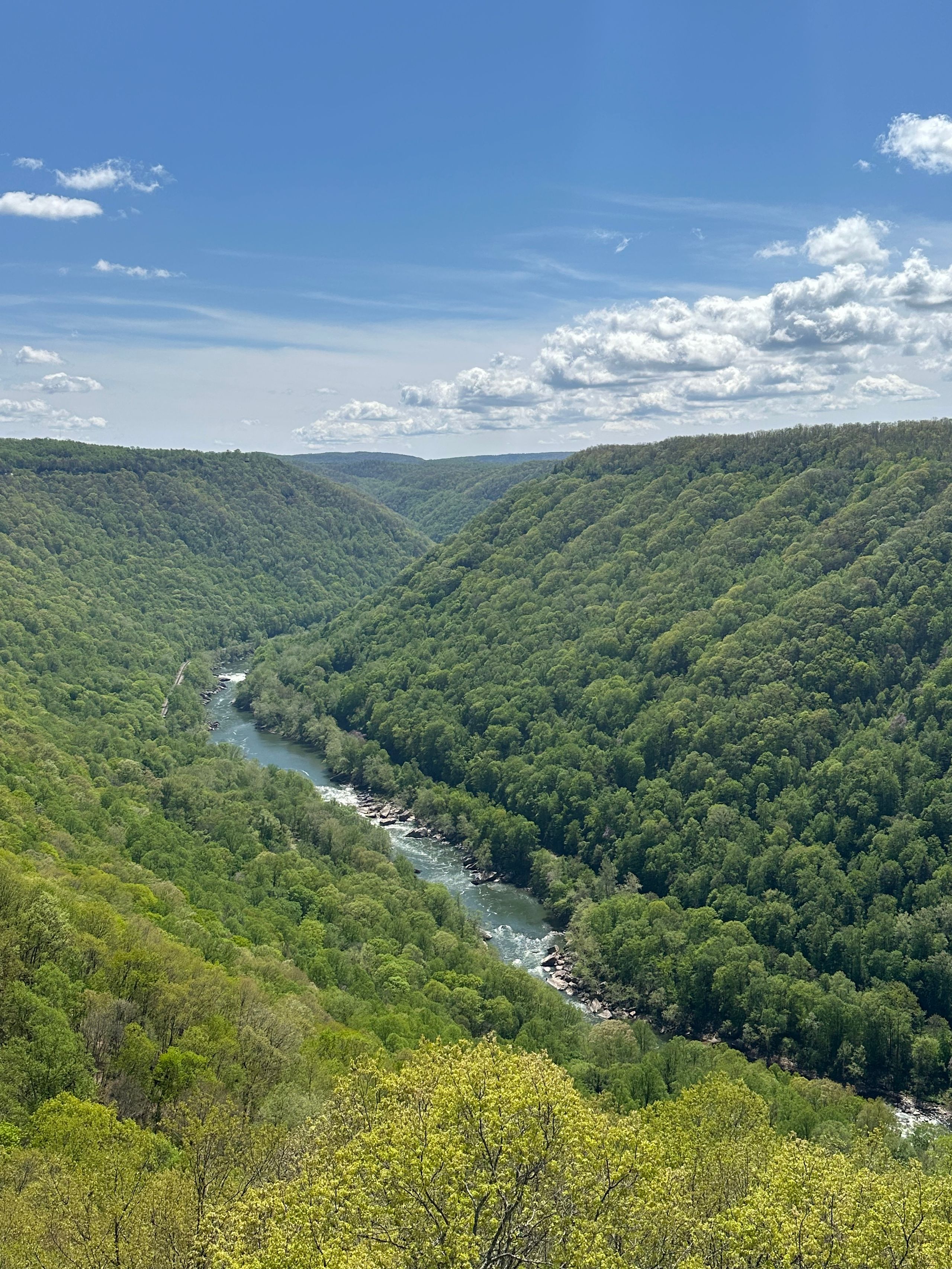 New River Gorge in spring, United States